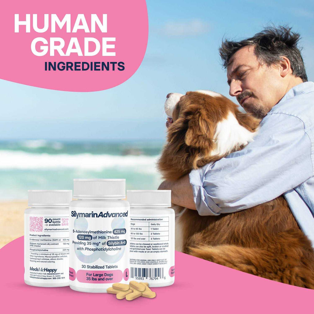 Dogs and 30 tablets Q585906