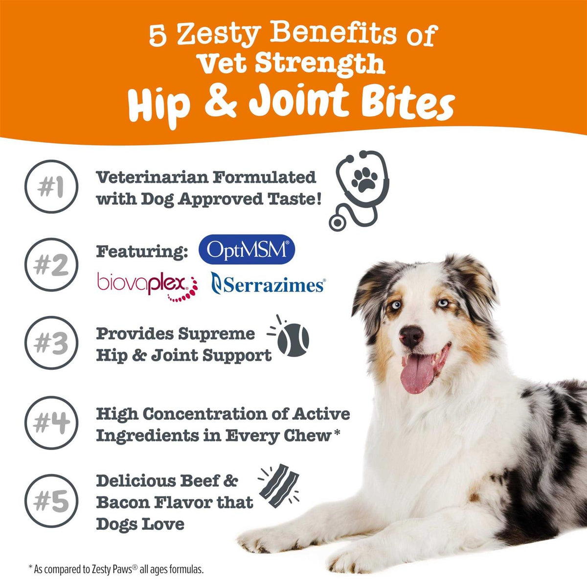 Beef & Bacon Flavored Hip & Joint Mobility Chews for Dogs B584805