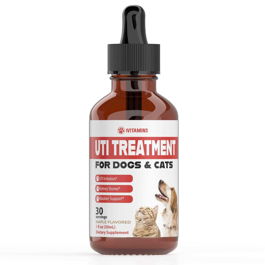 Pumpkin Cranberry Dog UTI Supplement H80012