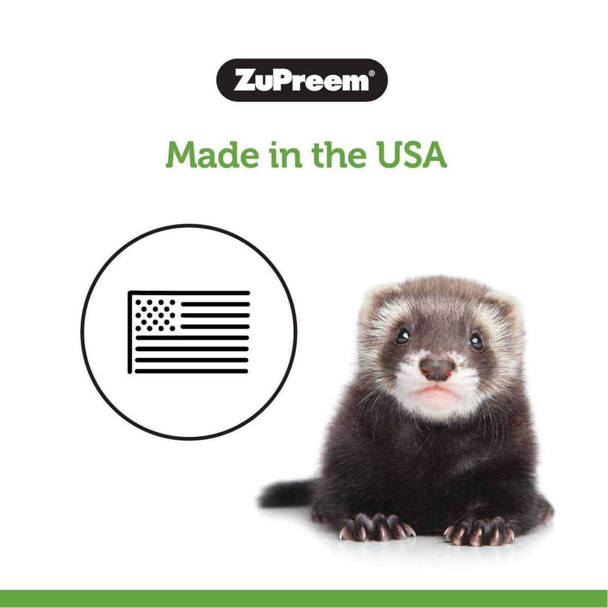 Premium Ferret Diet S485439
