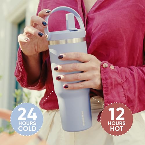 24 oz Stainless Steel Tumbler with Handle and Straw Lid R951670