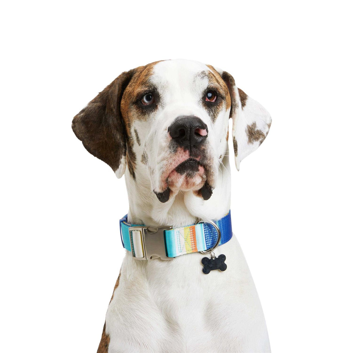 Reflective Dog Collar Y3352