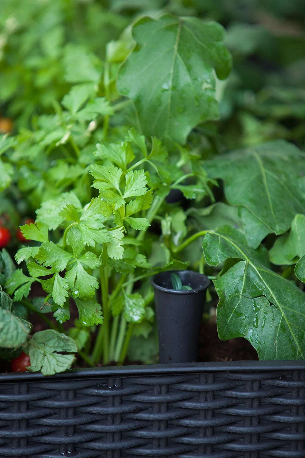 Raised Garden Bed with Self-Watering and Drainage System M70972