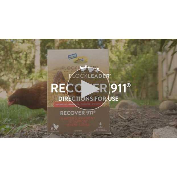 Pet Supplies S977
