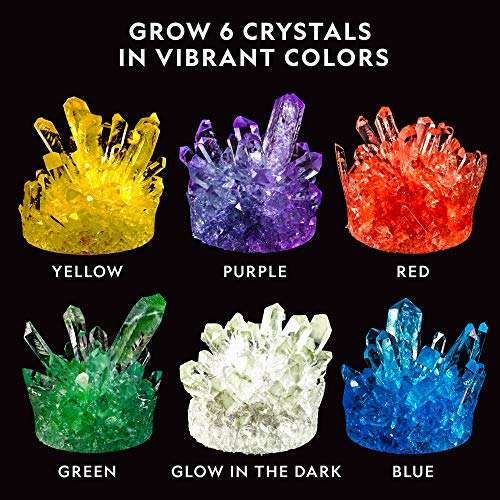 Crystal Growing Kit with Light-Up Stand U6857
