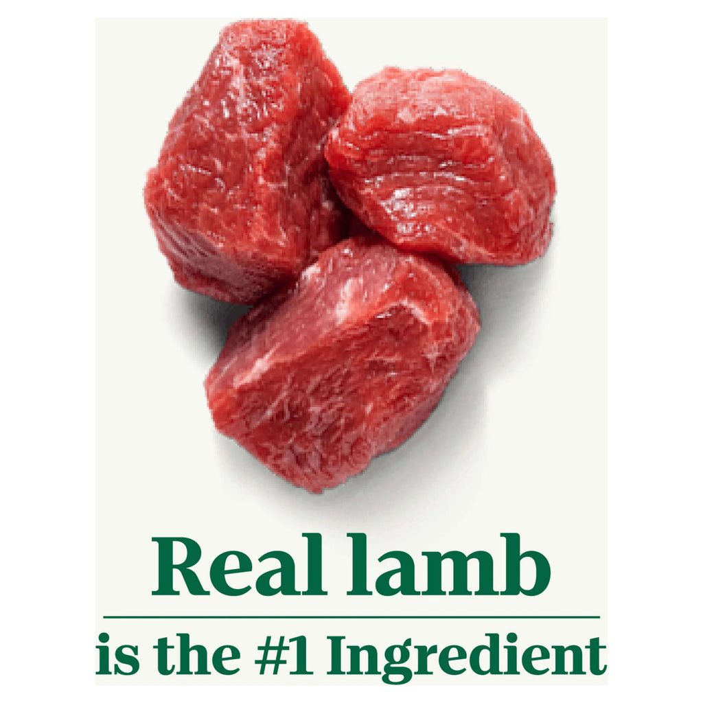 Lamb & Brown Rice Dry Dog Food 30 lb. Bag S26988