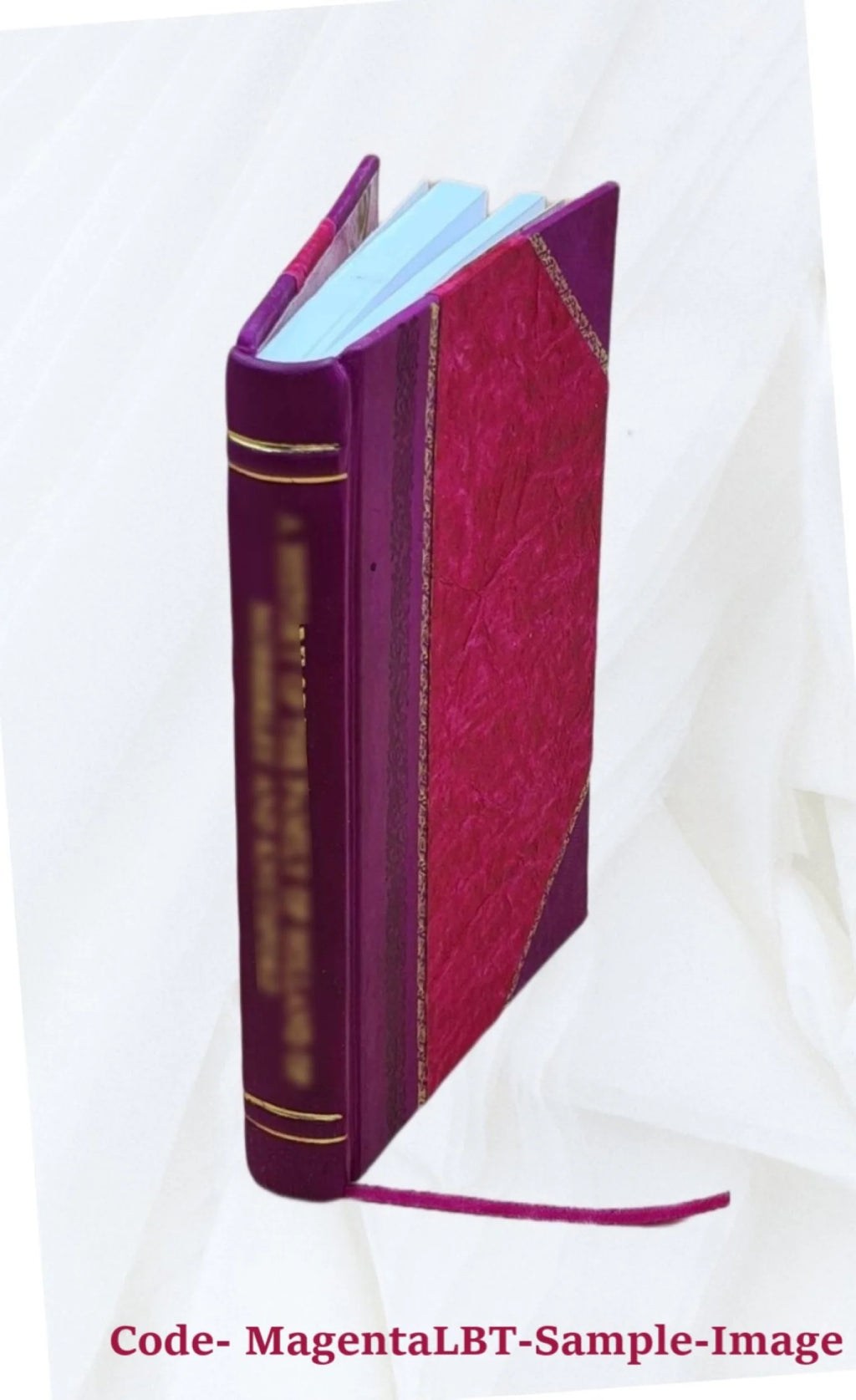 Household Appliances Leather Bound M383943