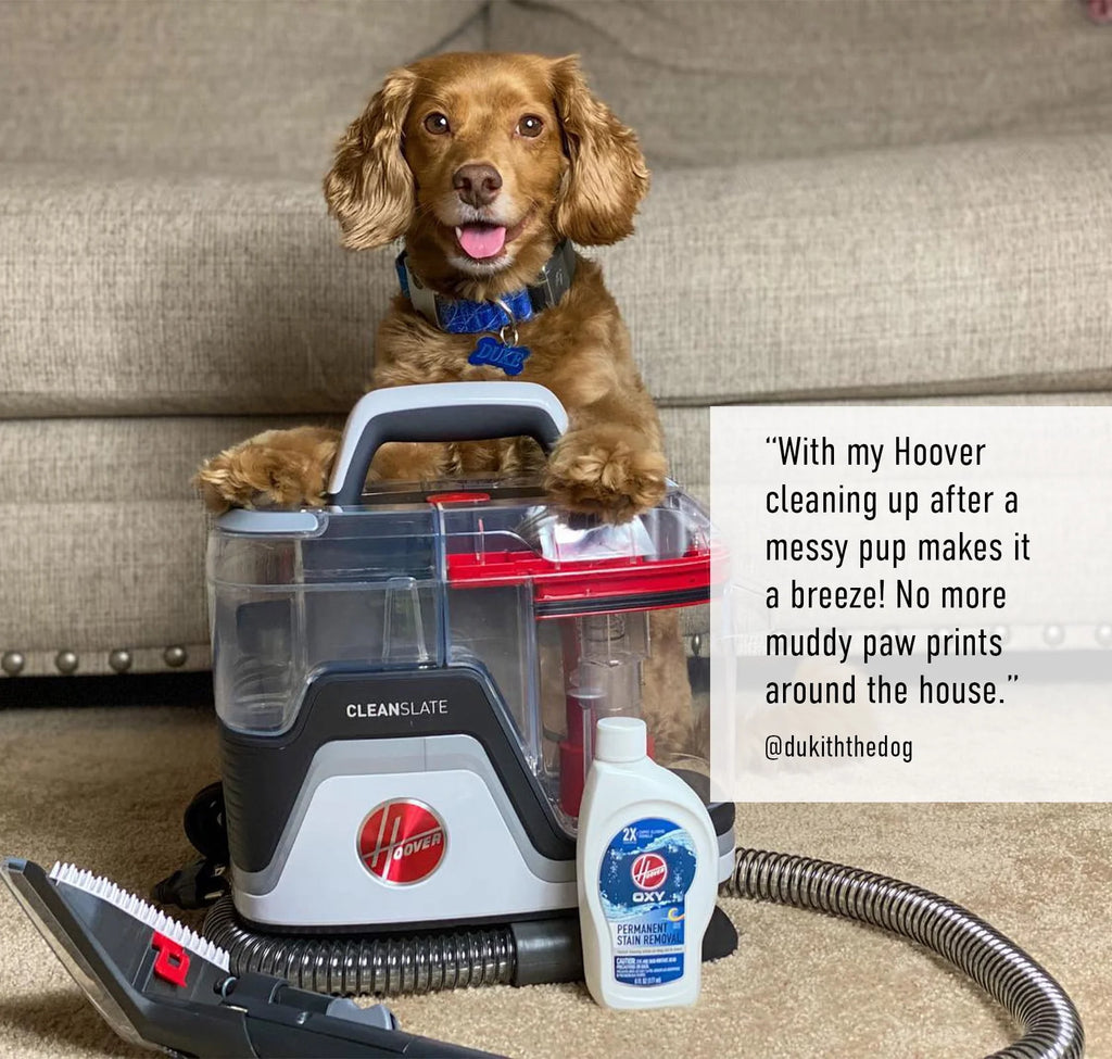 Portable Carpet and Upholstery Spot Cleaner J227
