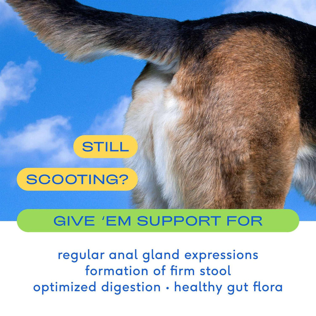 Anal Gland Supplement for Dogs S248