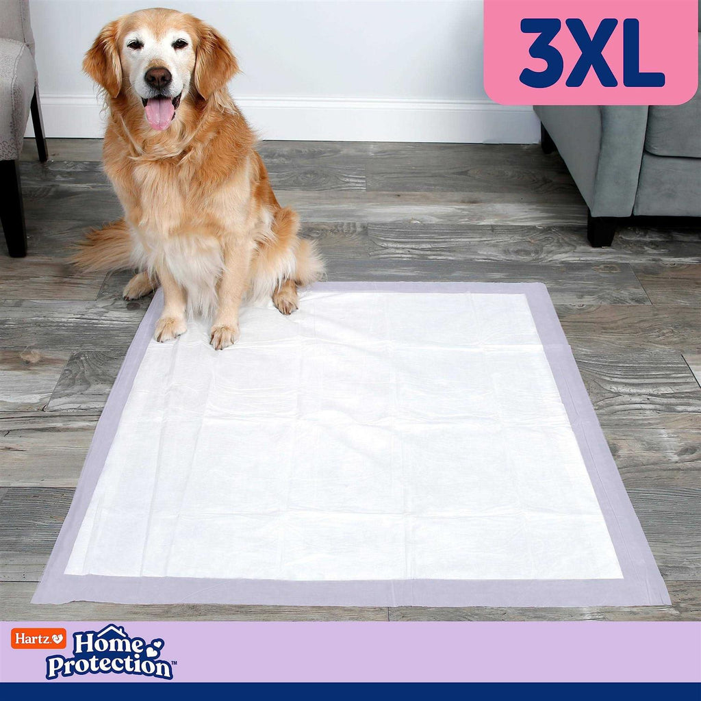 Lavender Scent Odor Eliminating Dog Pads Z394