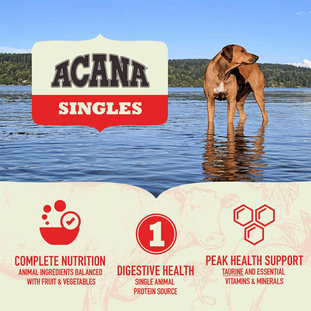 Grain-Free Pork & Squash Dry Dog Food U478513