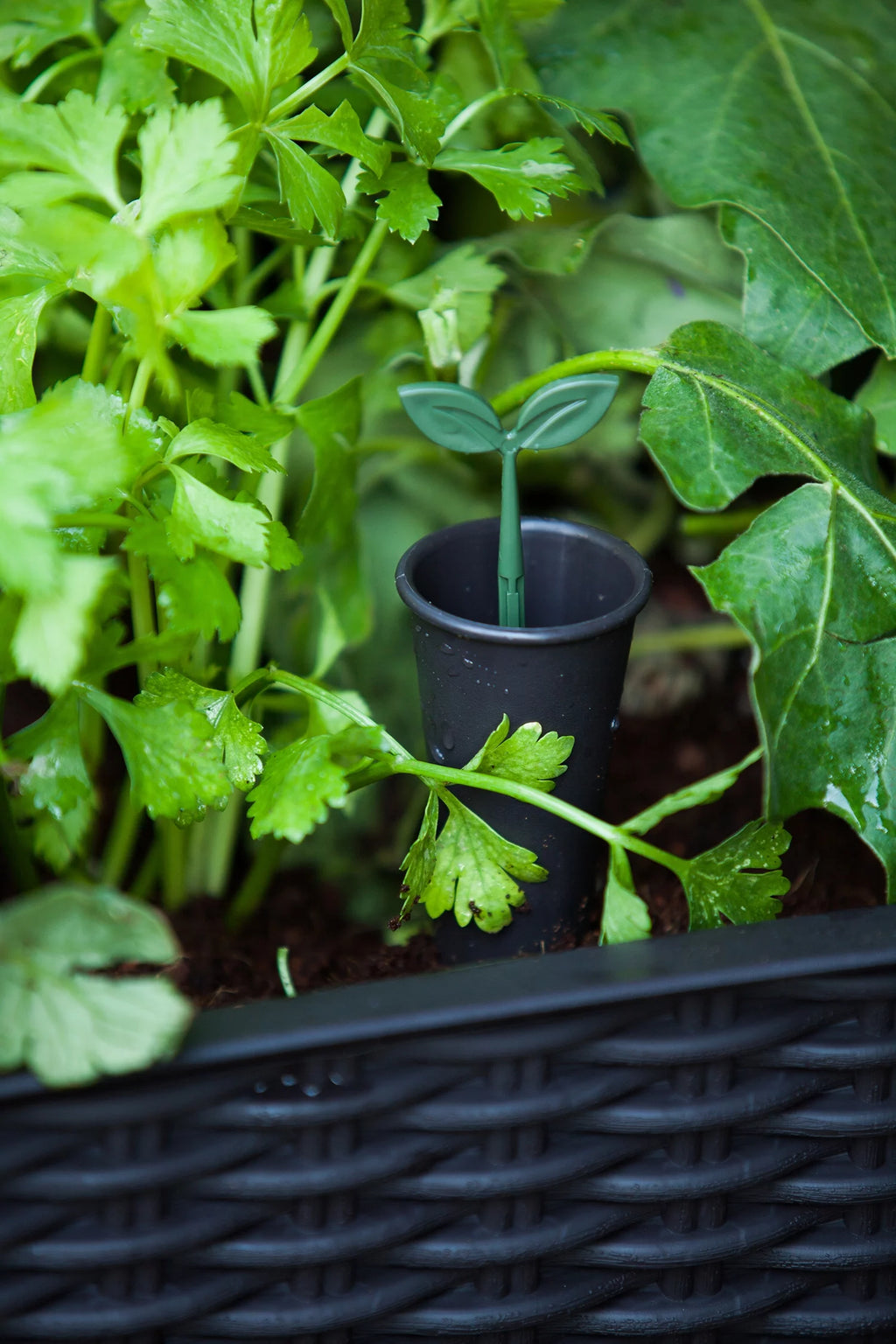 Raised Garden Bed with Self-Watering and Drainage System M70972