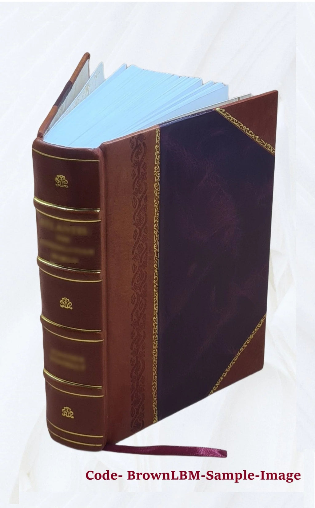 Leather Bound Historical Topographic Account A973463