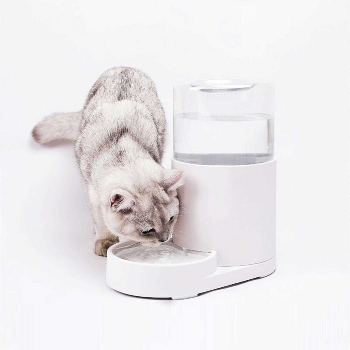 Automatic Pet Water Dispenser 3 Liter P8407