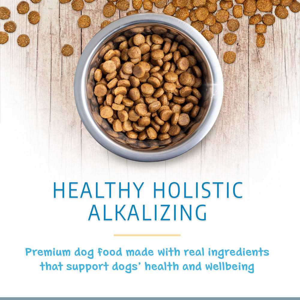 Holistic Dry Dog Food U50689