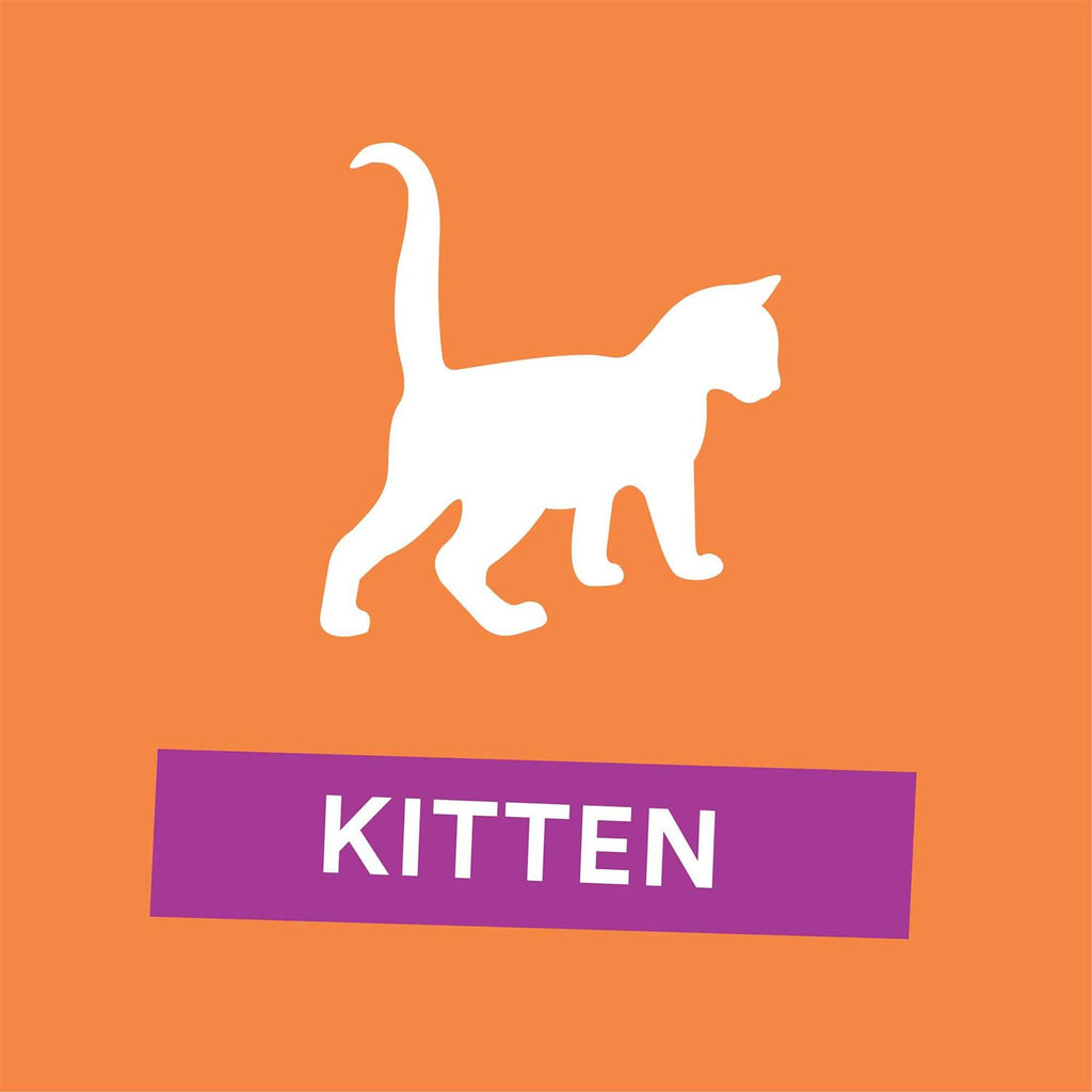 Grain Free Chicken Recipe Dry Kitten Food U263246