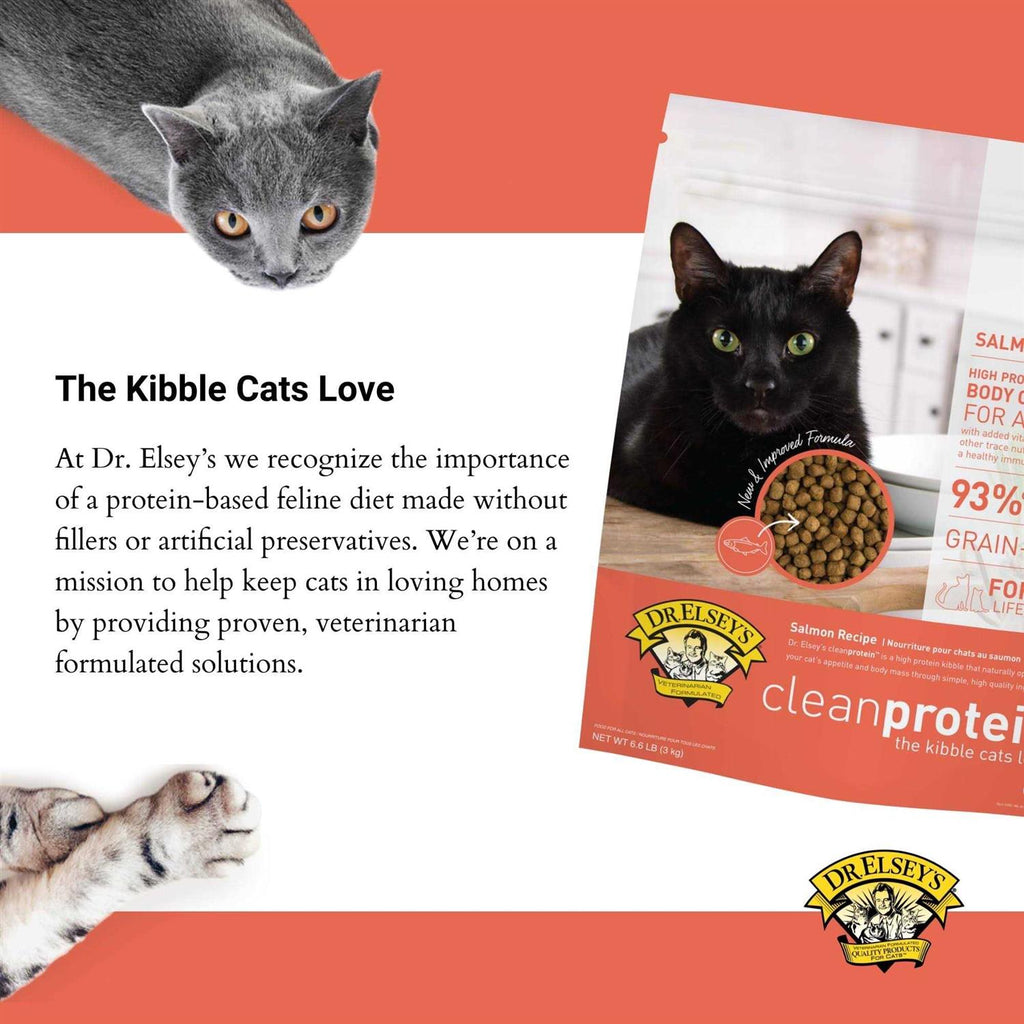 Salmon Dry Cat Food Q883555