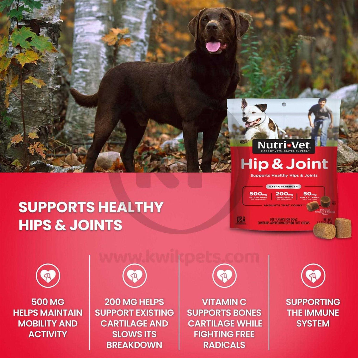 Hip & Joint Soft Chews For Dogs C350