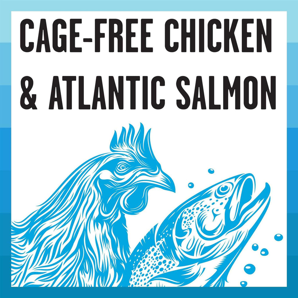 Chicken Recipe Shredded Canned Cat Food T733