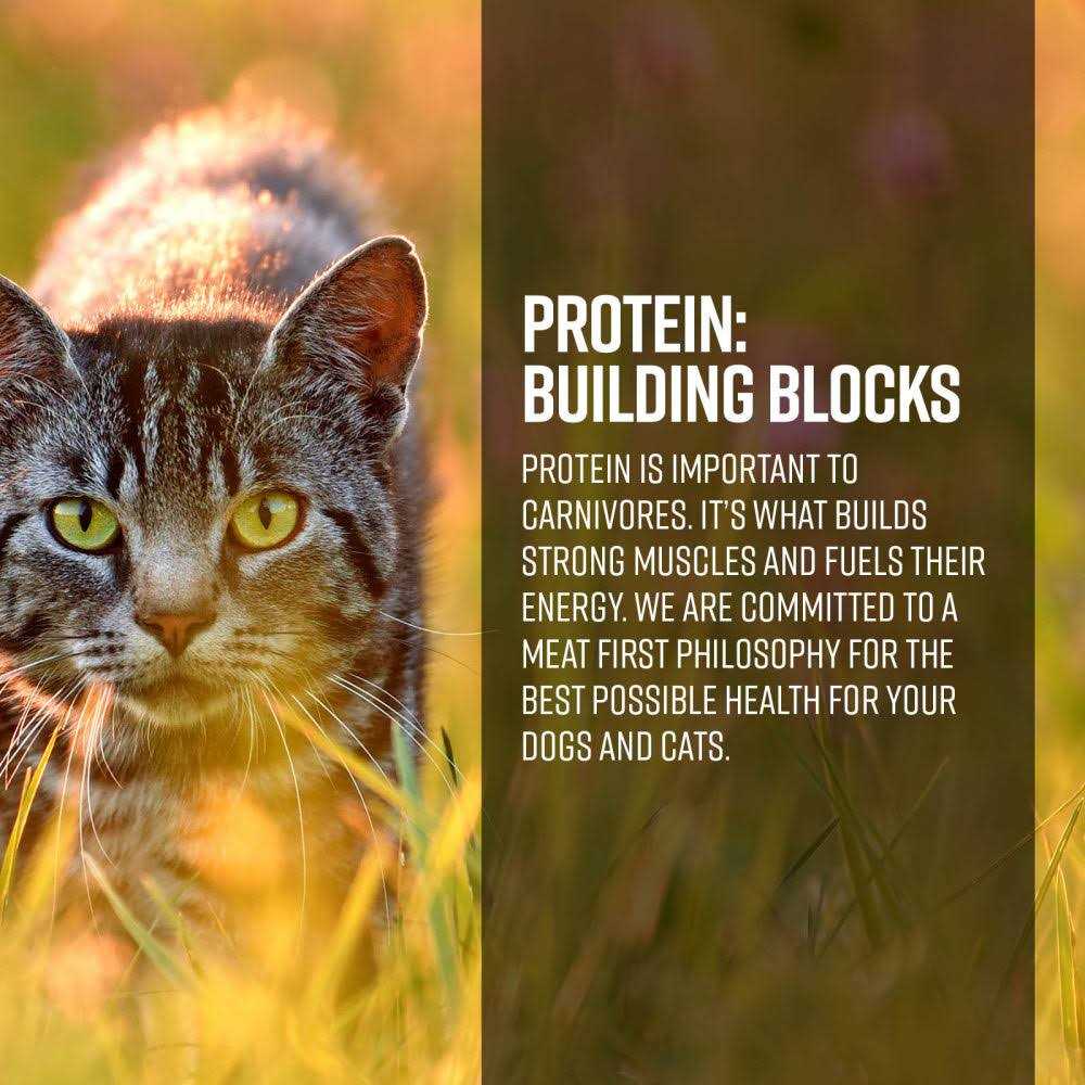 Gamefowl Recipe Cat Dry Food B693627